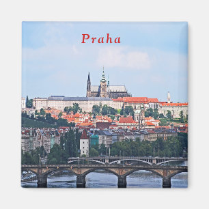 Imán Vista de Praga de la fortaleza de Vyšehrad