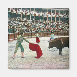 Imán Vista de un Matador alrededor para matar el