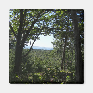 Imán Vista de verano en el Parque Nacional Acadia