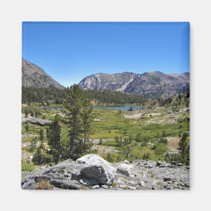 Imán Vista del Lago Shell, Paso Tioga, CA