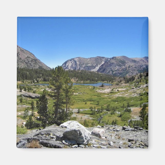 Imán Vista del Lago Shell, Paso Tioga, CA (Frente)