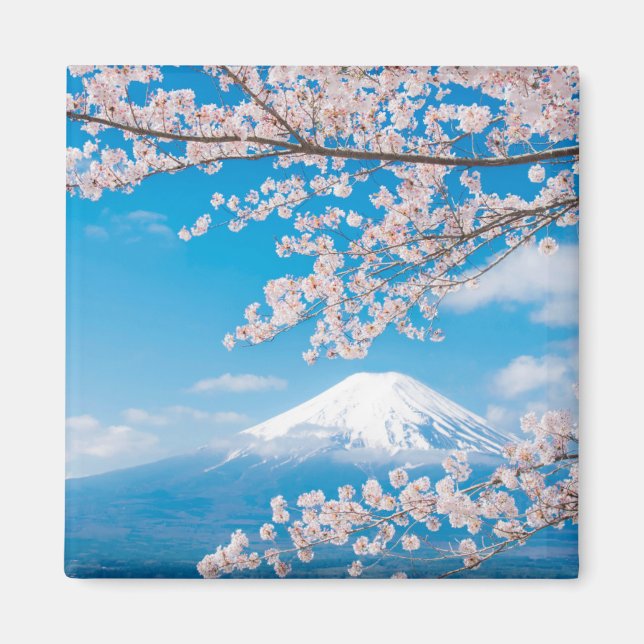 Imán Vista del Monte Fuji con flores de cerezo (Frente)