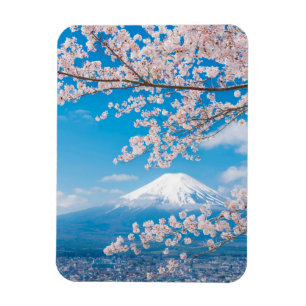Imán Vista del monte Fuji con las flores de cerezo