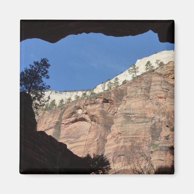 Imán Vista desde Devil's Staircase en Zion National Par (Frente)