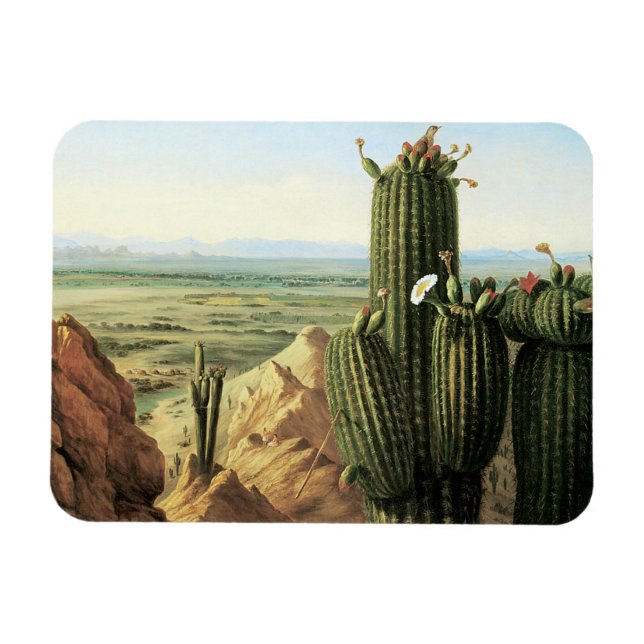 Imán Vista desde la montaña Maricopa cerca del río Gila (Horizontal)