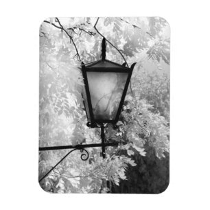 Imán Vista en blanco y negro de la iluminación