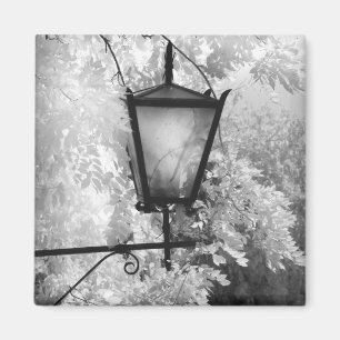 Imán Vista en blanco y negro de la luminaria
