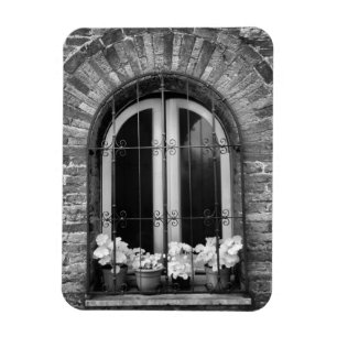 Imán Vista en blanco y negro de las macetas de flores y