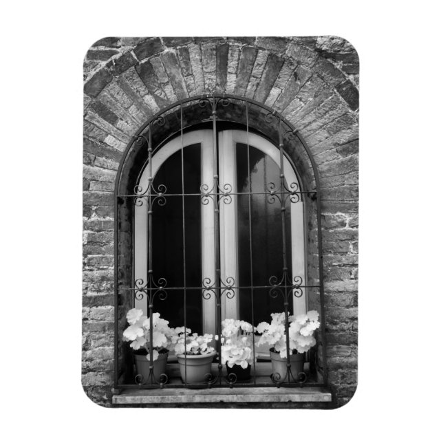 Imán Vista en blanco y negro de las macetas de flores y (Vertical)