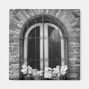 Imán Vista en blanco y negro de ventana y macetas