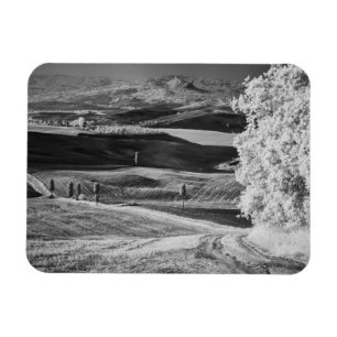 Imán Vista en blanco y negro del camino sinuoso