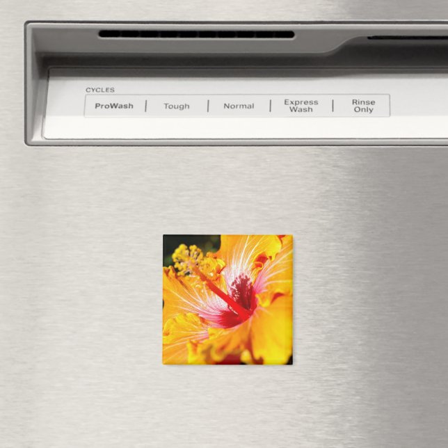 Imán Vista lateral de naranja Hibiscus (In situ (lavavajillas))