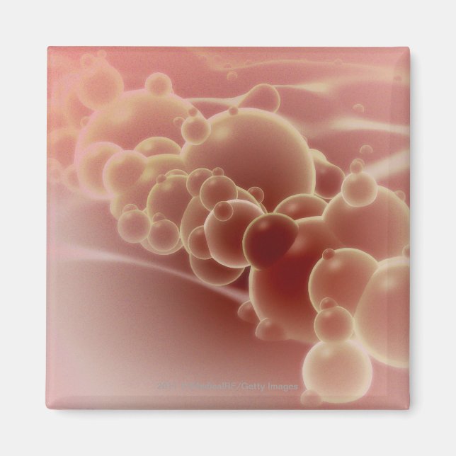 Imán Vista microscópica de microesferas de látex (Frente)