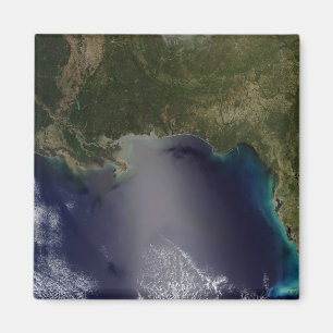 Imán Vista por satélite del estado unido del sudeste 2
