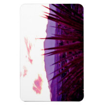 Vista residencial de la línea aérea de Las Vegas #