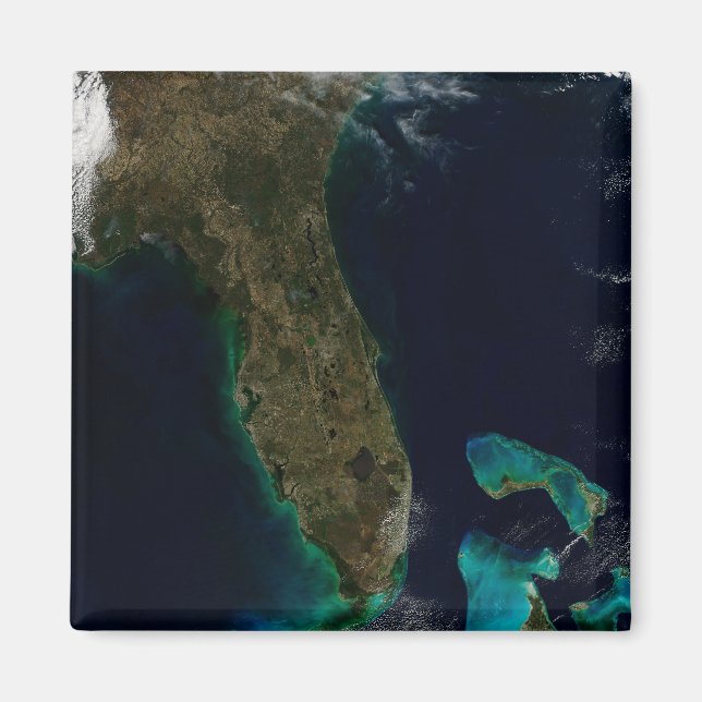 Imán Vista Satelital De Florida. (Frente)