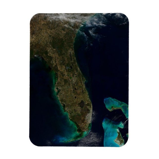 Imán Vista Satelital De Florida. (Vertical)