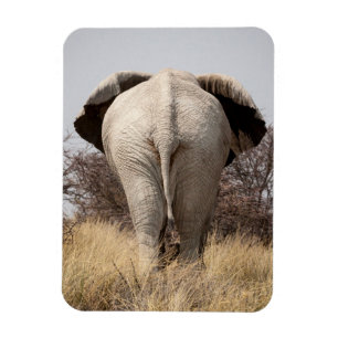 Imán Vista trasera de elefante
