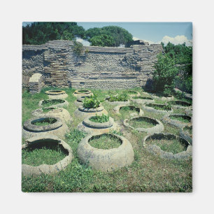 Imán Vistas a las tiendas