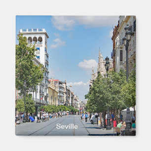 Imán Vistas al centro de Sevilla