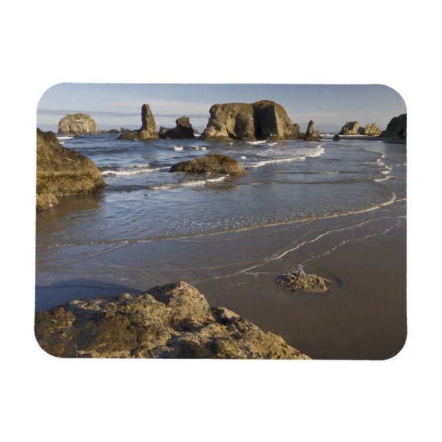 Imán Vistas costeras, Bandon, Oregón (Horizontal)
