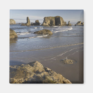 Imán Vistas costeras, Bandon, Oregon