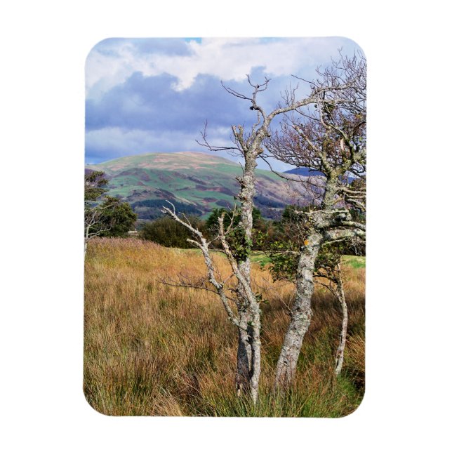 IMÁN VISTAS DE GALES (Vertical)