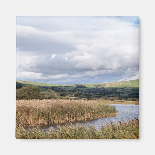 IMÁN VISTAS DE GALES (Frente)