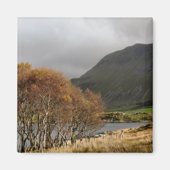 IMÁN VISTAS DE GALES (Frente)