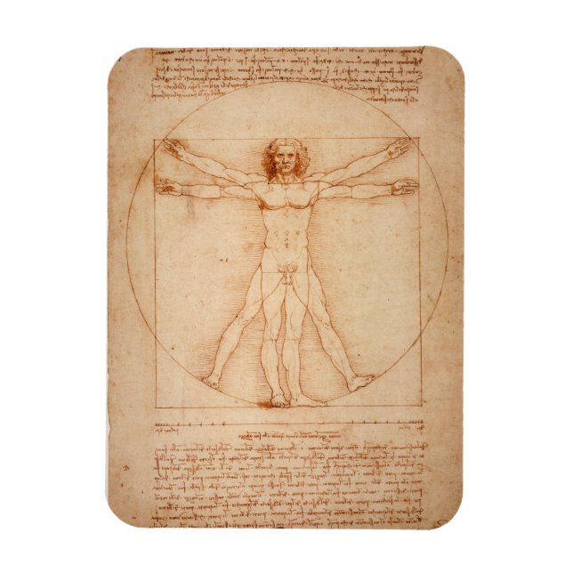 Imán Vitruísta refrigerador de Leonardo da Vinci (Vertical)