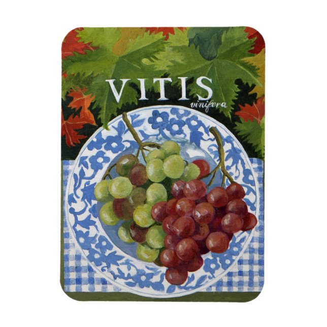 Imán Vitus (Vertical)
