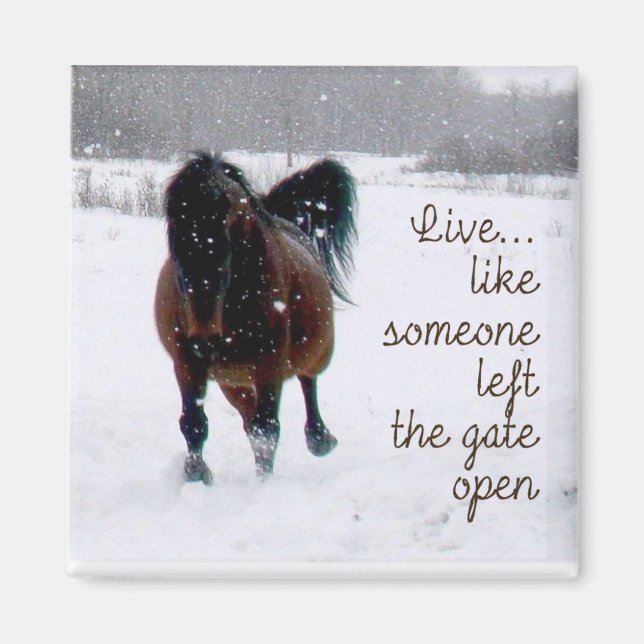 Imán ¡Viva la Vida! (Frente)