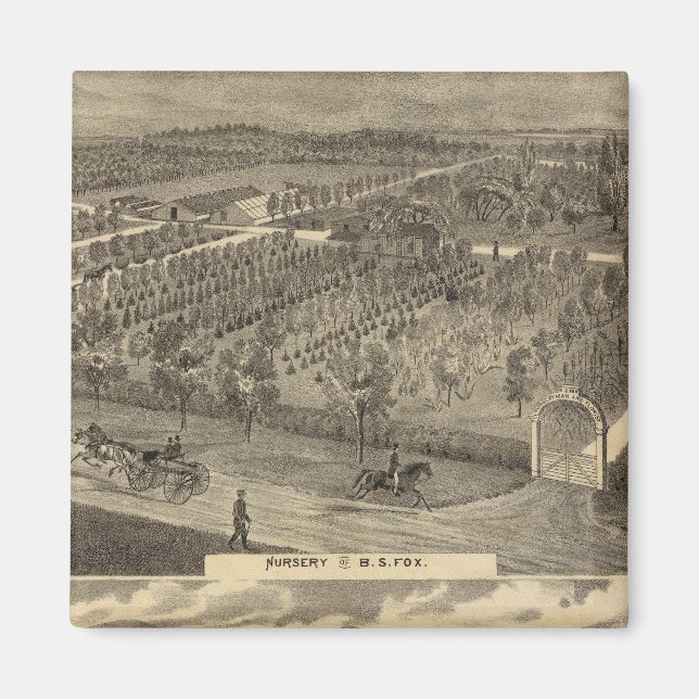 Imán vivero de Fox, res, huerto (Frente)