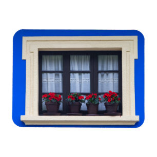 Imán Viviendas con flores en ventanas