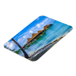 Imán Viviendo en el agua