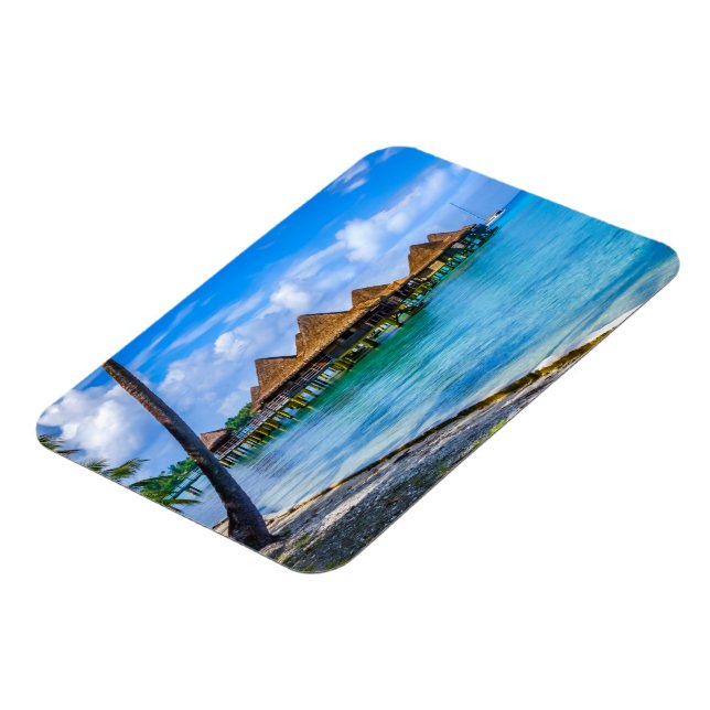 Imán Viviendo en el agua (Lado Izquierdo)