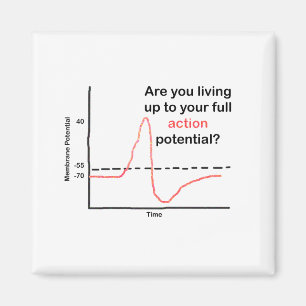 Imán Vivir A Su Pleno Potencial