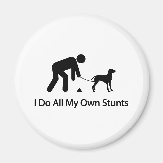 Imán Vizsla (Frente)