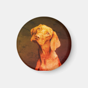 Imán Vizsla