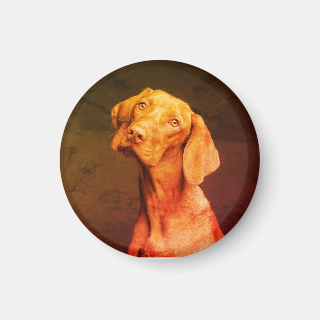 Imán Vizsla (Frente)