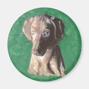 Imán Vizsla, indicador húngaro