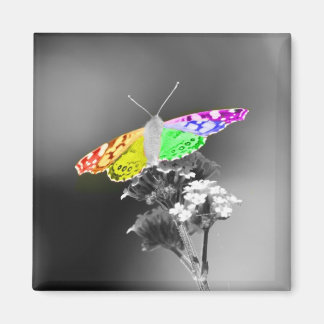 Imán Volando con orgullo