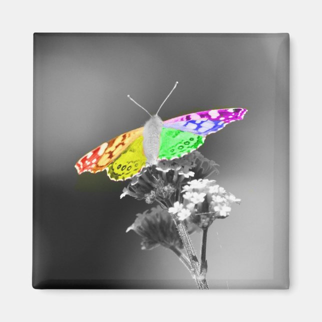 Imán Volando con orgullo (Frente)