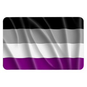 Imán VOLANTE DE BANDERA ASEXUAL -.png