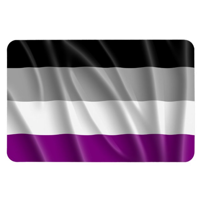 Imán VOLANTE DE BANDERA ASEXUAL -.png (Horizontal)