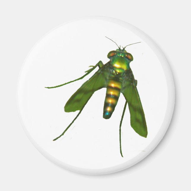 Imán volar (Frente)