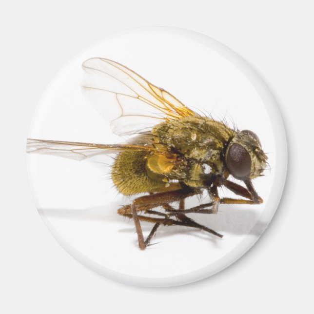 Imán Volar (Frente)