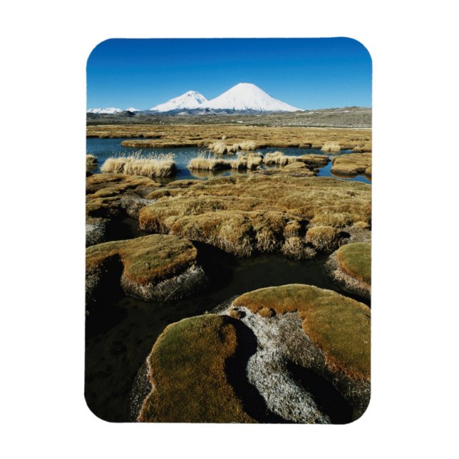 Imán Volcanes Payachalas (Vertical)