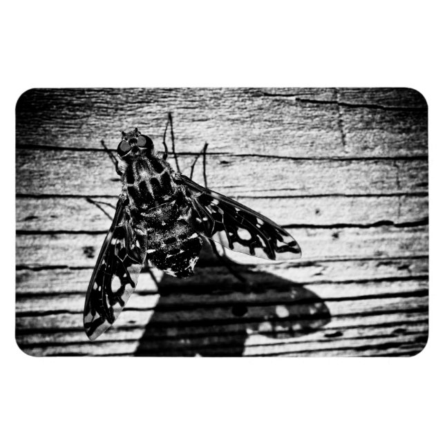 Imán volver atrás (Horizontal)