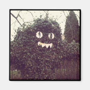 Imán Voodoo Bush